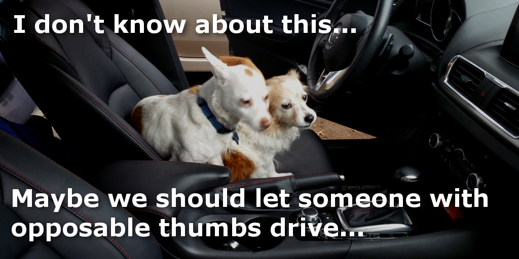 Maybe we should let someone with opposable thumbs drive